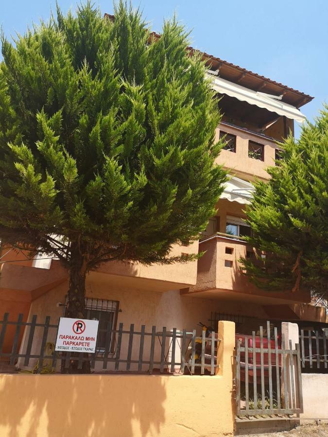 Greca Mare-Traditional Greek Boutique Apt. Psakoudia Exteriér fotografie